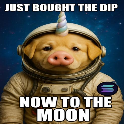 Just bought the dip, now to the moon