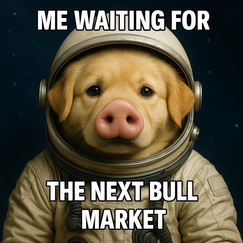 Me waiting for the next bull market